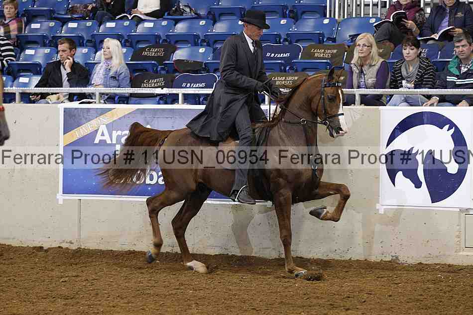 Proof 11usn_06954