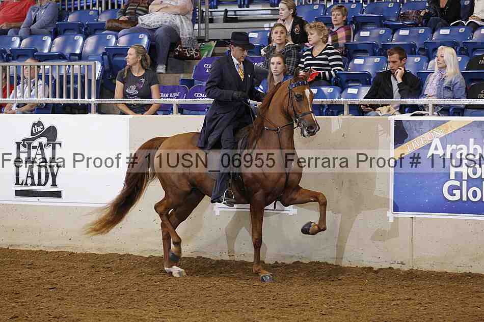 Proof 11usn_06955