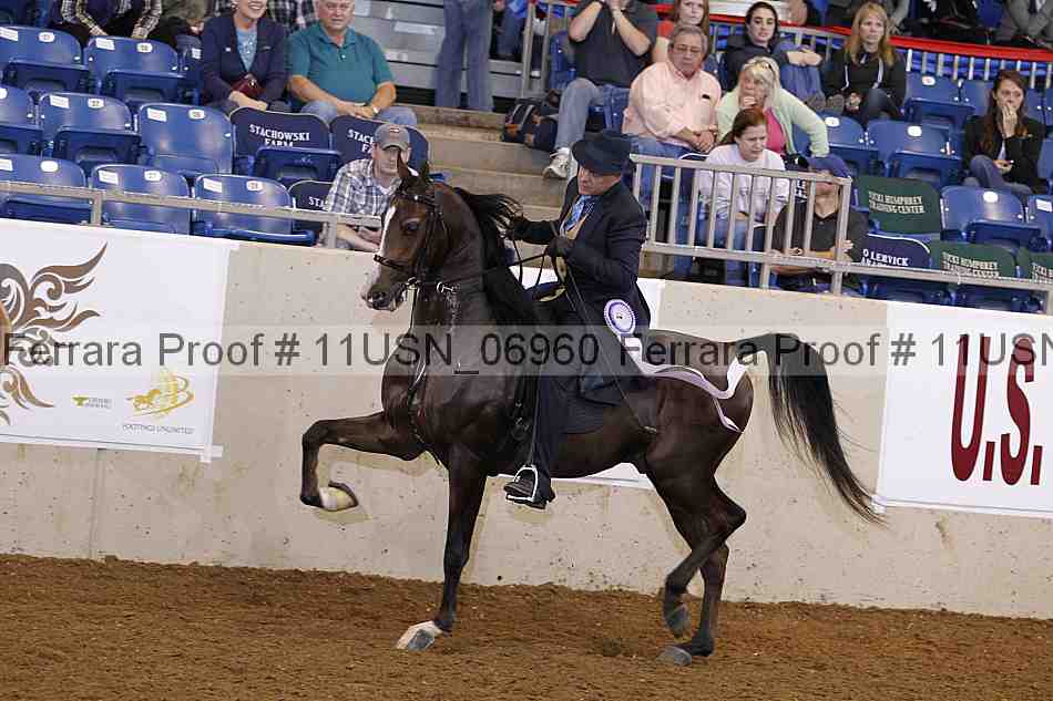 Proof 11usn_06960