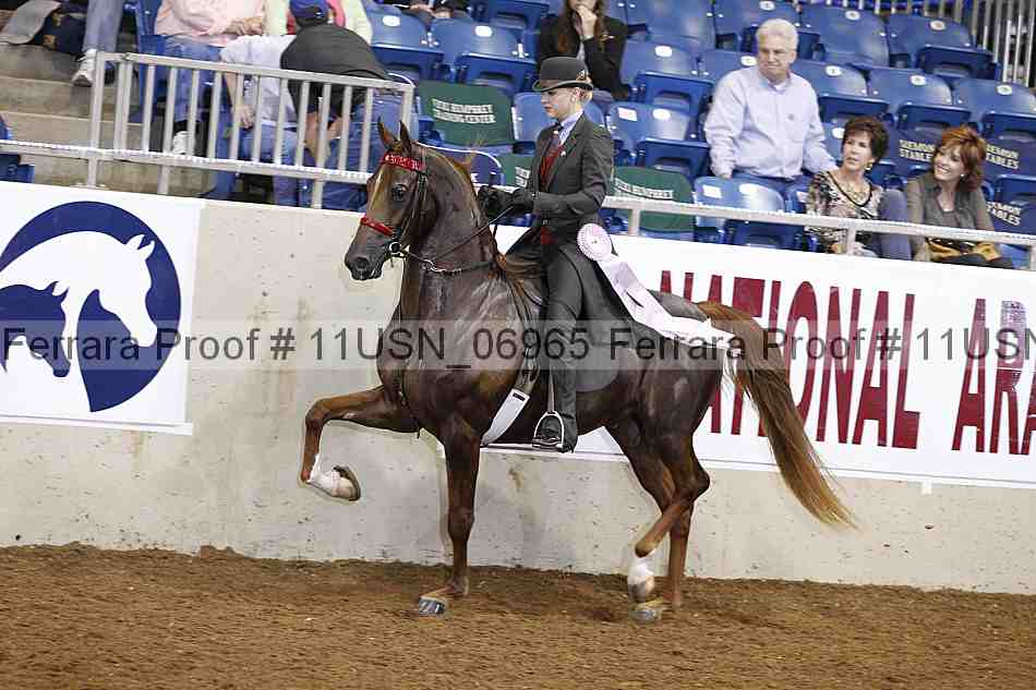 Proof 11usn_06965
