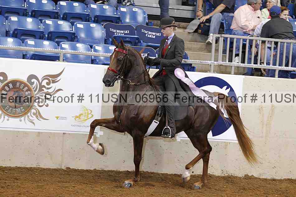 Proof 11usn_06966