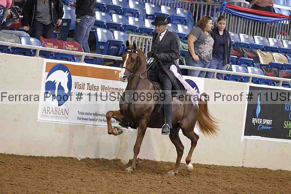 Proof 11usn_06969