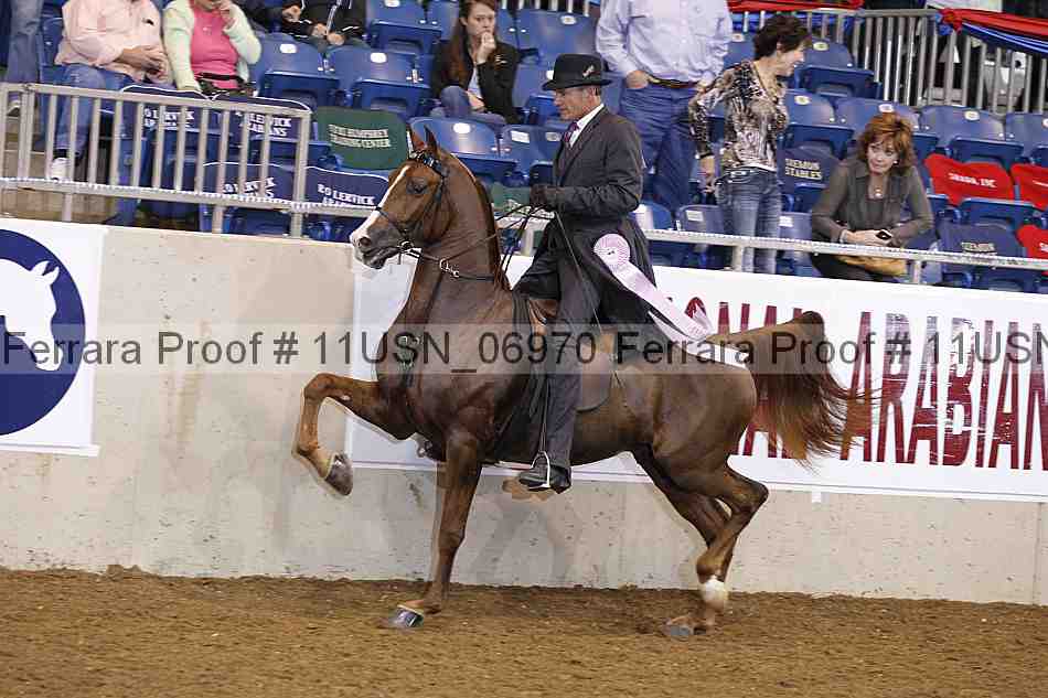 Proof 11usn_06970