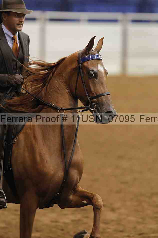 Proof 11usn_07095