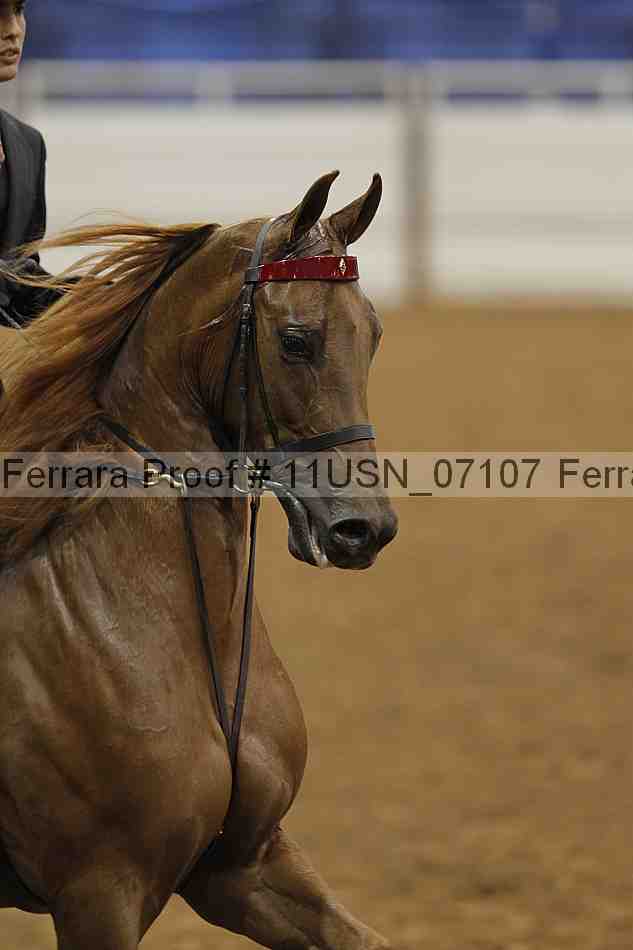 Proof 11usn_07107