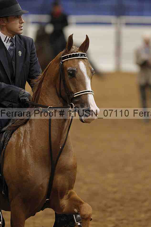 Proof 11usn_07110