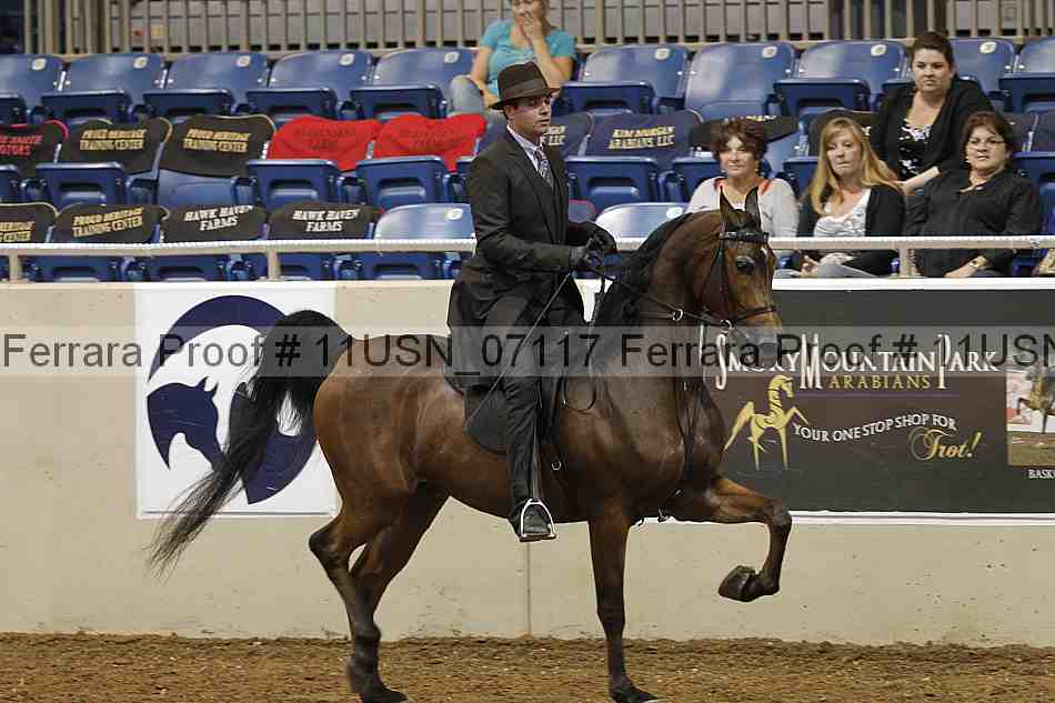 Proof 11usn_07117