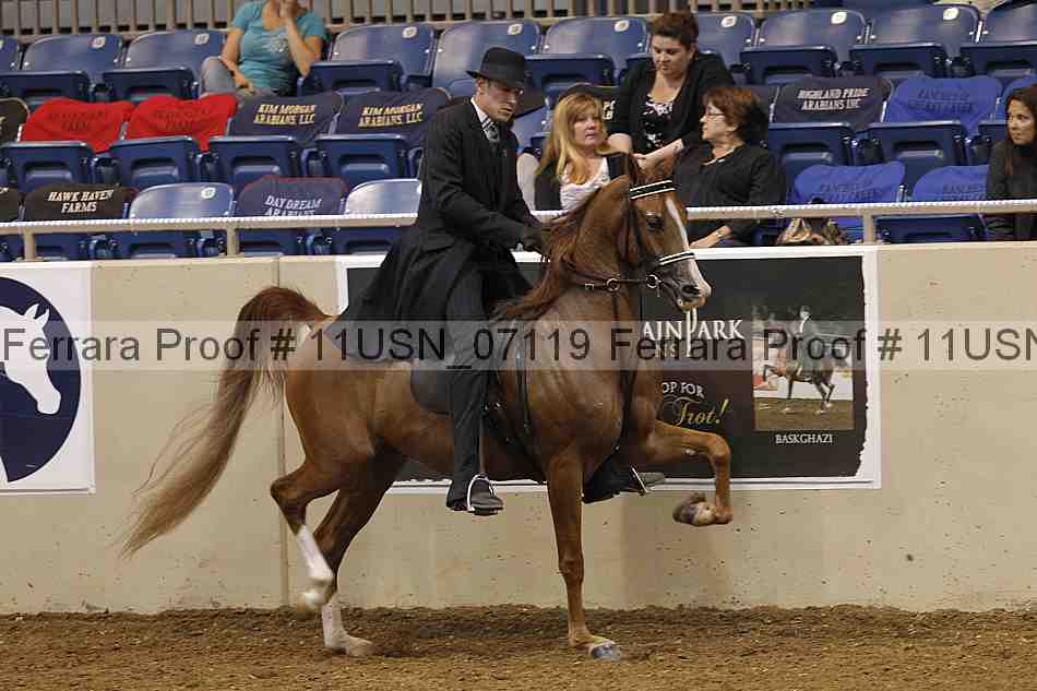 Proof 11usn_07119