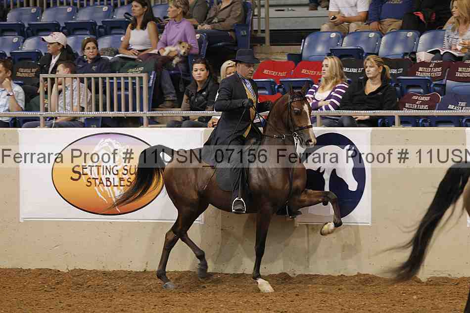 Proof 11usn_07156