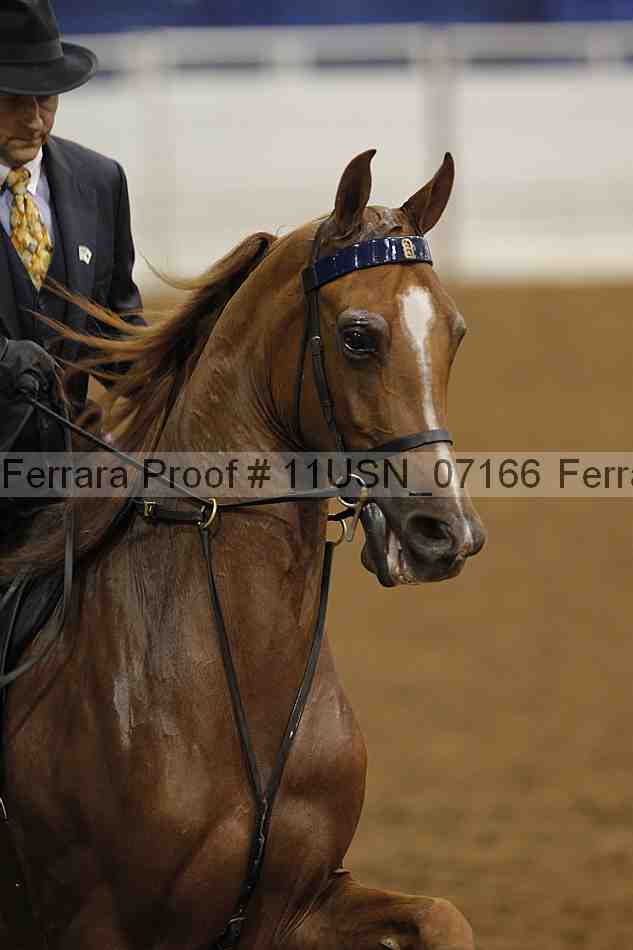 Proof 11usn_07166