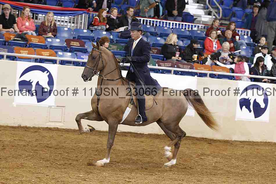 Proof 11usn_23066
