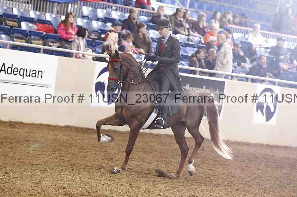 Proof 11usn_23067