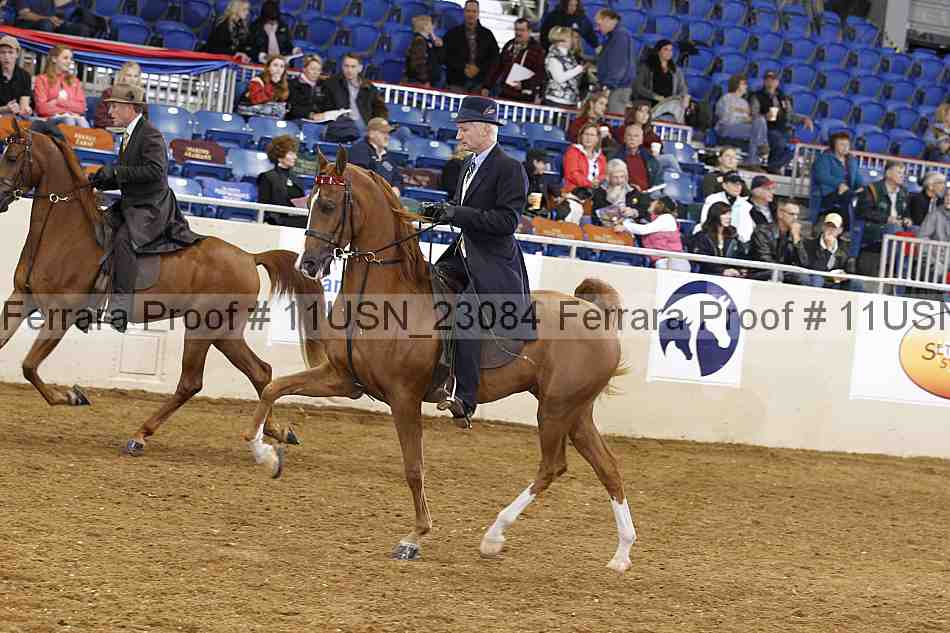Proof 11usn_23084