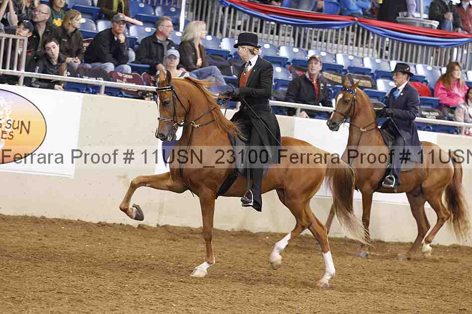 Proof 11usn_23100