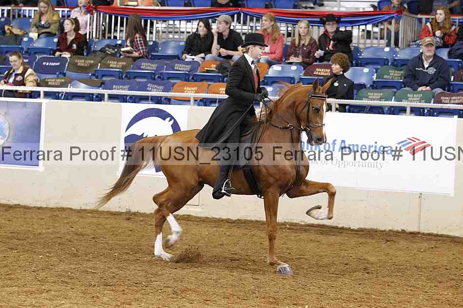 Proof 11usn_23105