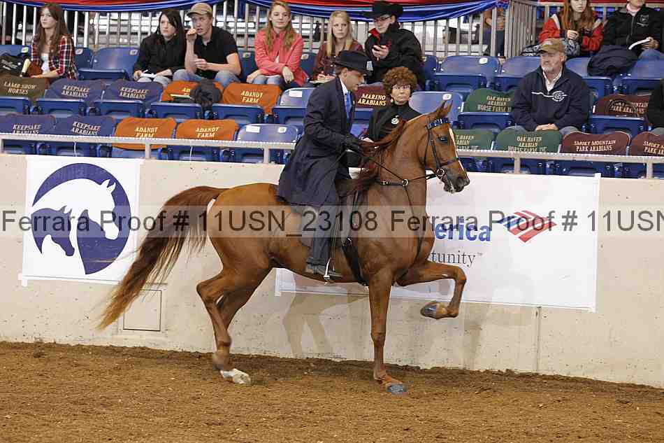 Proof 11usn_23108