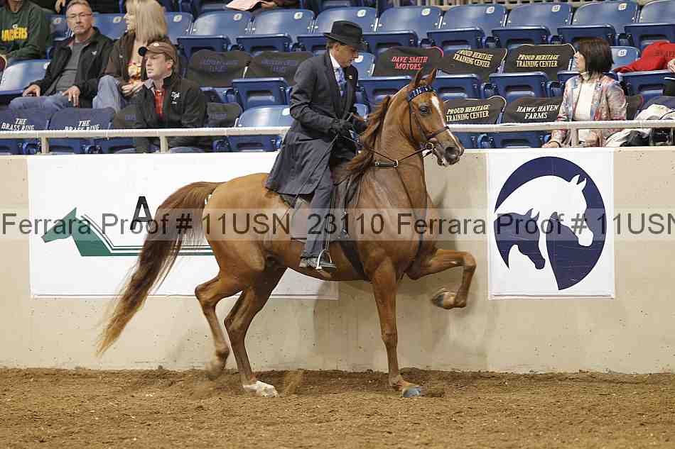 Proof 11usn_23110