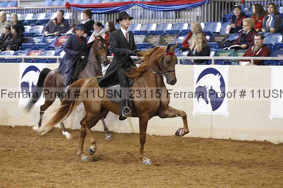 Proof 11usn_23115