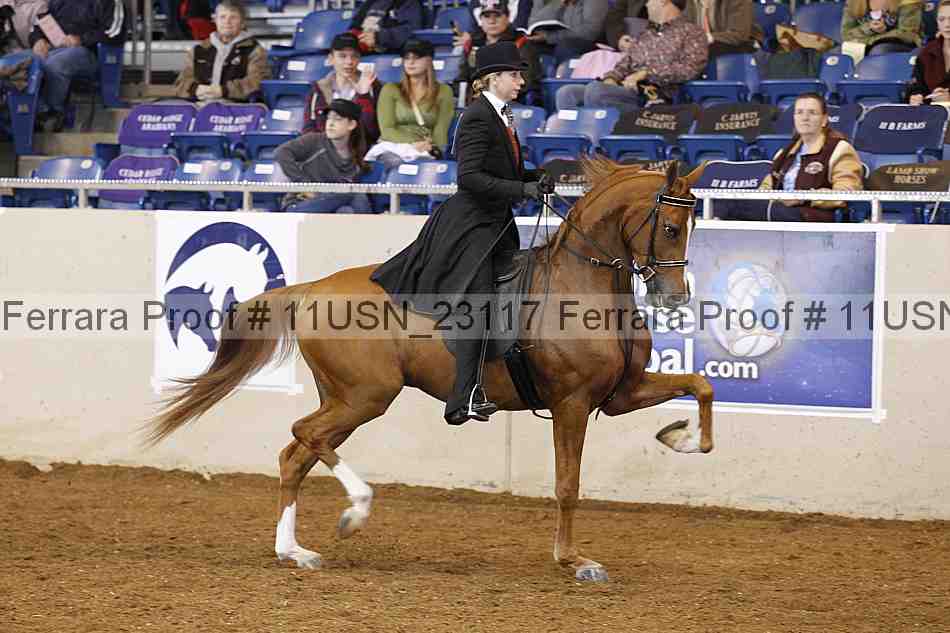 Proof 11usn_23117