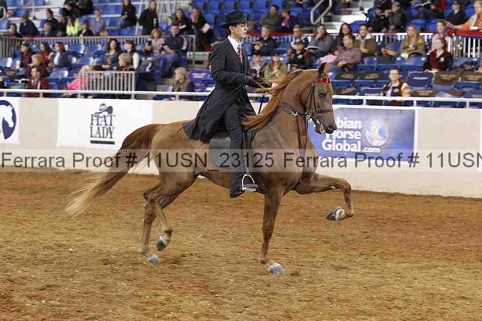 Proof 11usn_23125