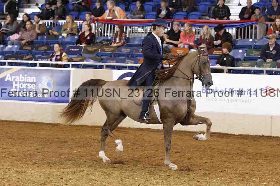 Proof 11usn_23126
