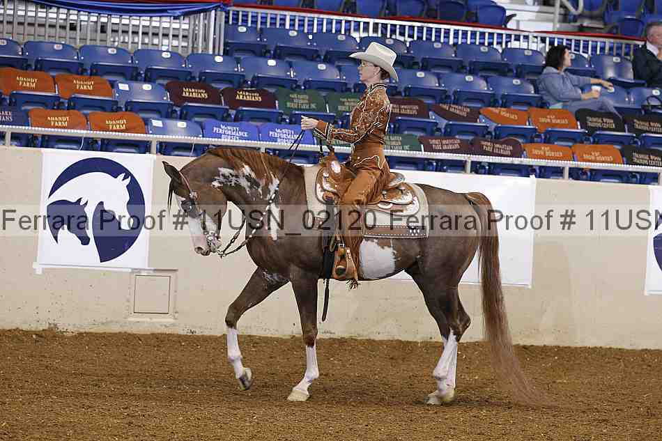 Proof 11usn_02120
