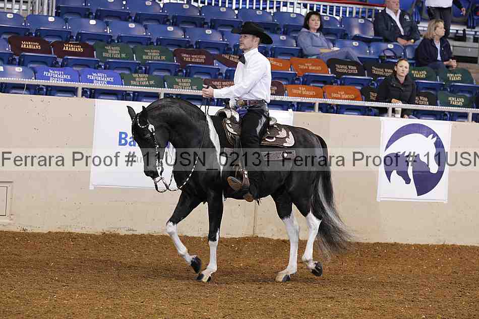Proof 11usn_02131