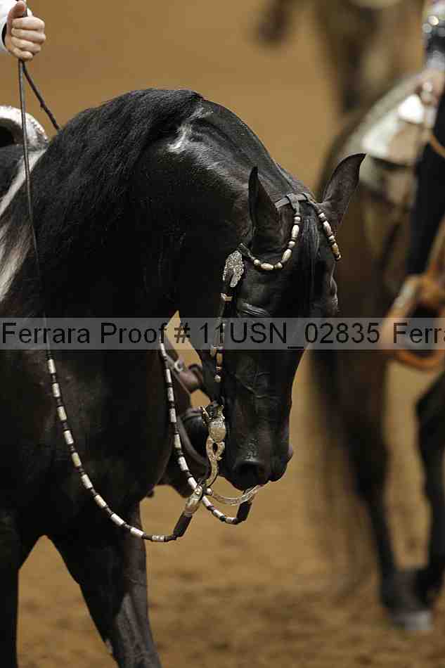 Proof 11usn_02835