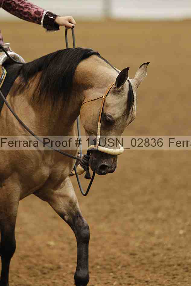 Proof 11usn_02836