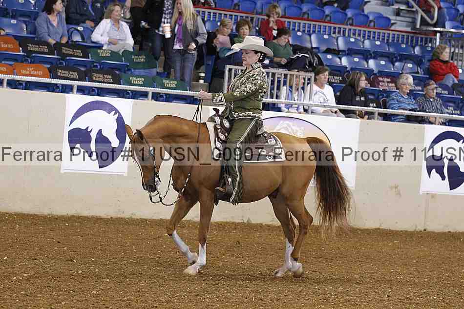 Proof 11usn_00907