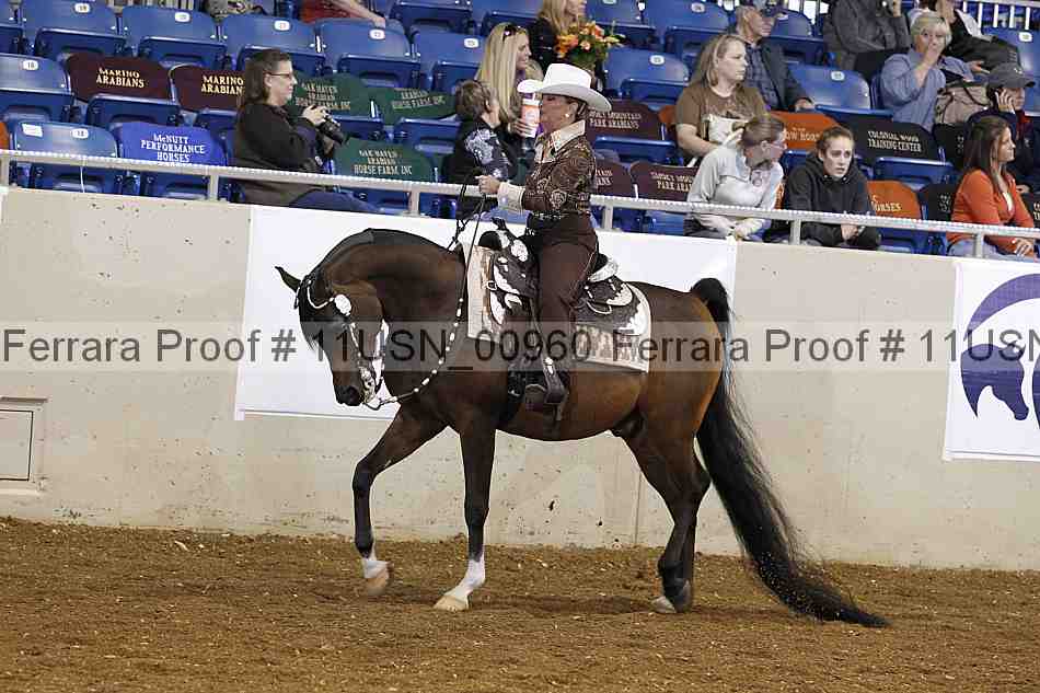 Proof 11usn_00960