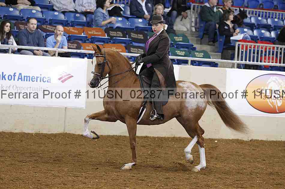Proof 11usn_02287