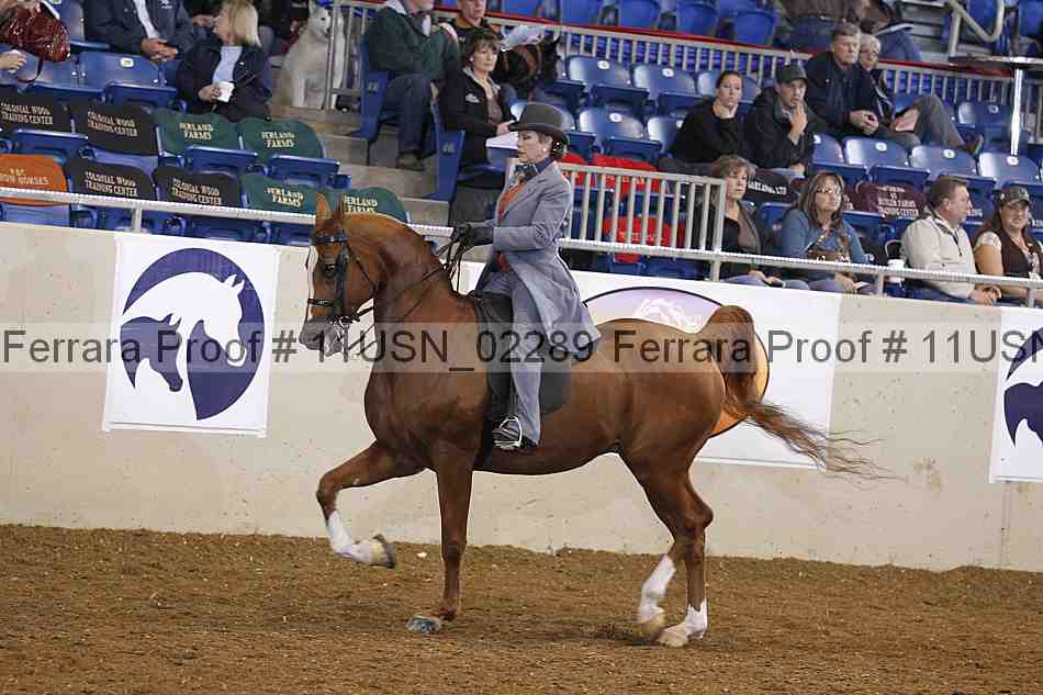 Proof 11usn_02289
