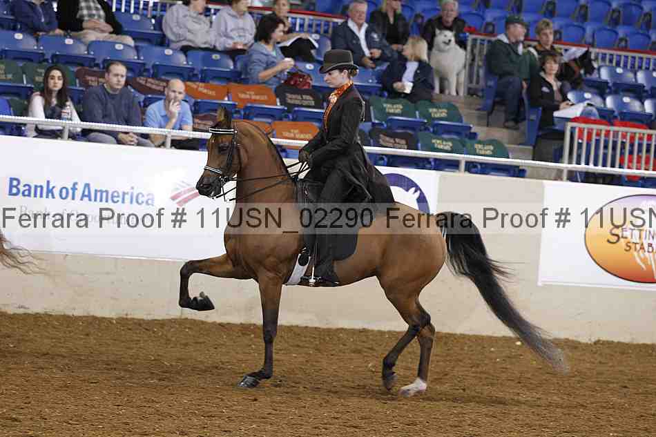Proof 11usn_02290