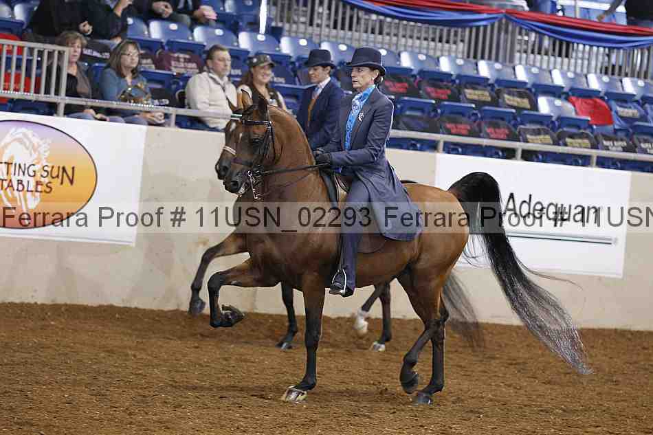 Proof 11usn_02293