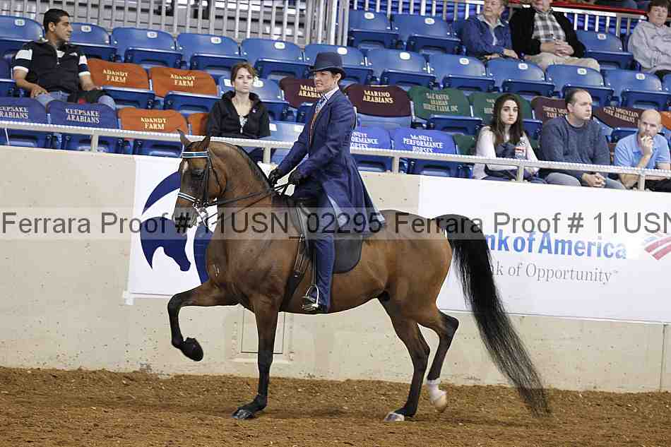 Proof 11usn_02295