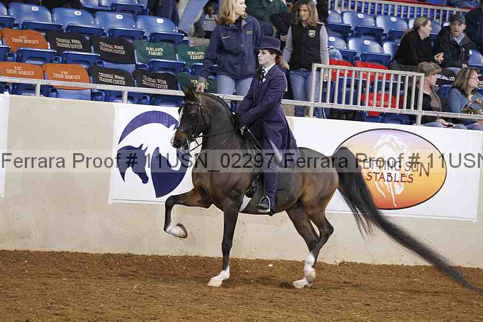 Proof 11usn_02297