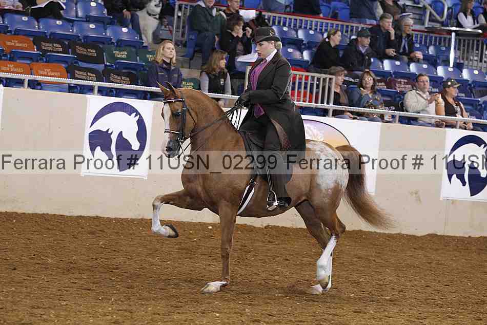 Proof 11usn_02299