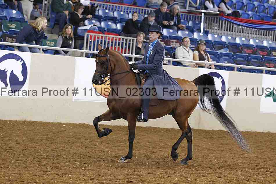 Proof 11usn_02303