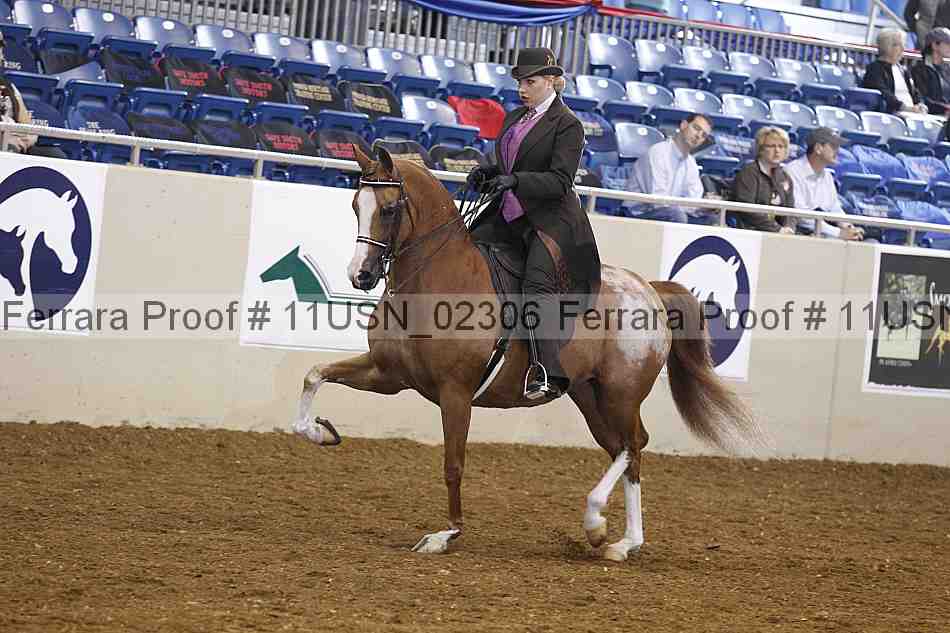 Proof 11usn_02306