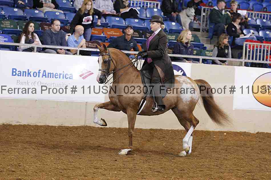Proof 11usn_02307