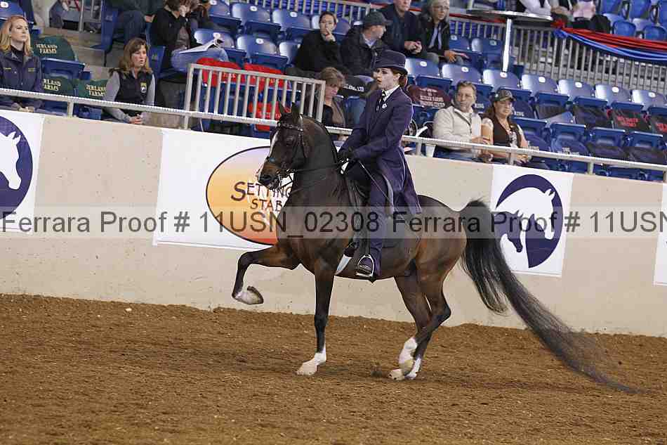 Proof 11usn_02308