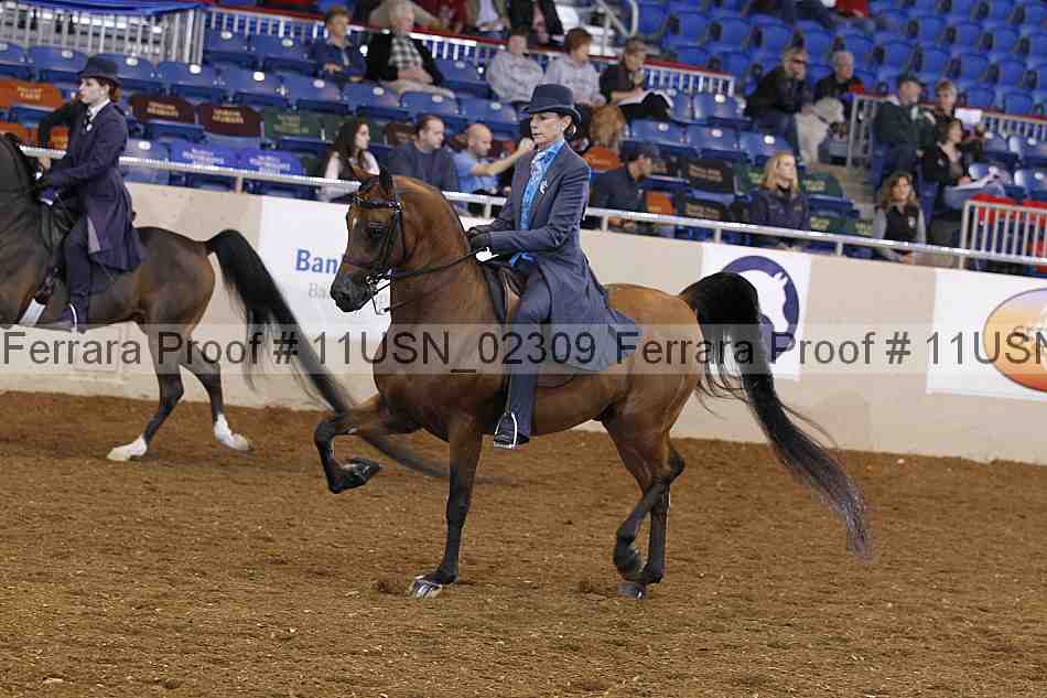 Proof 11usn_02309
