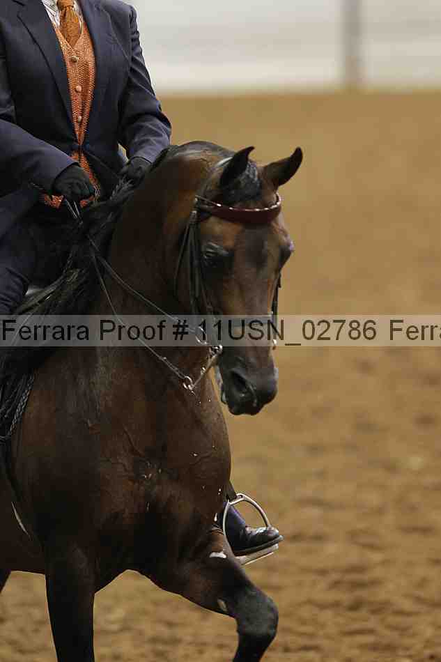 Proof 11usn_02786