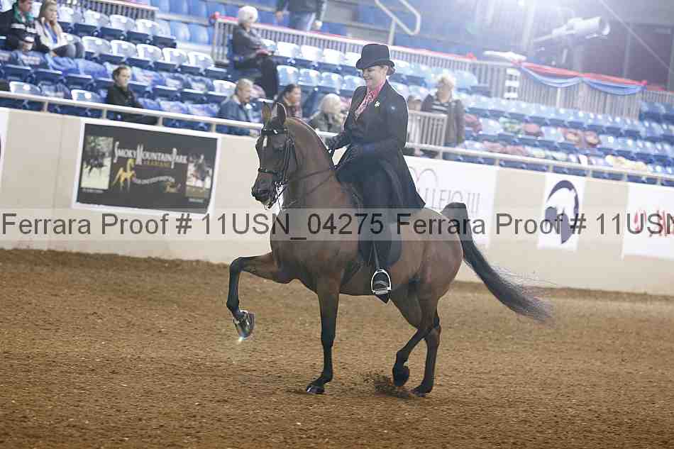 Proof 11usn_04275