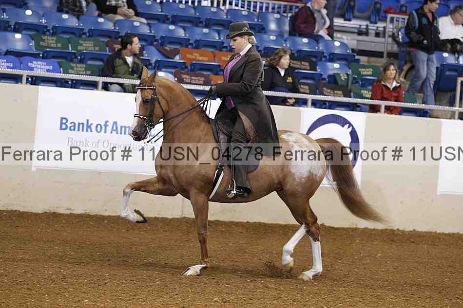 Proof 11usn_04278