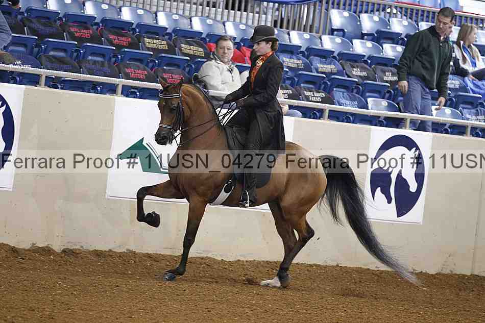 Proof 11usn_04279