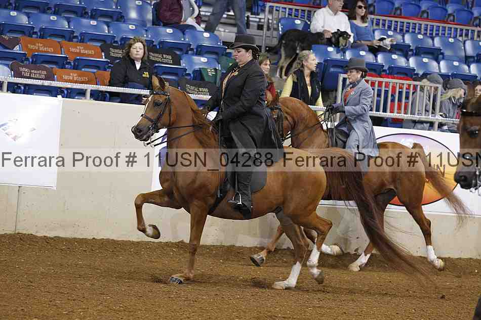 Proof 11usn_04288