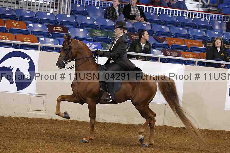 Proof 11usn_04291