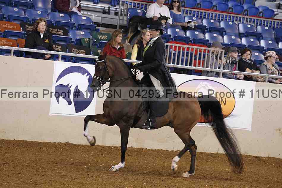 Proof 11usn_04293